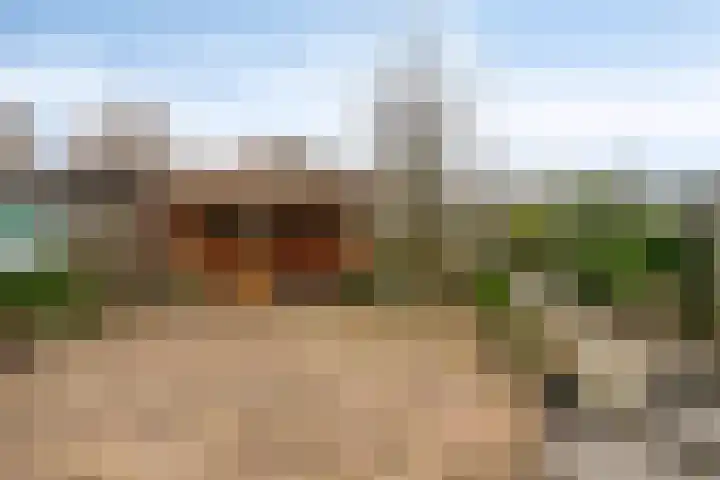 Wold 20 20 72 Lelystad thumbnail 29