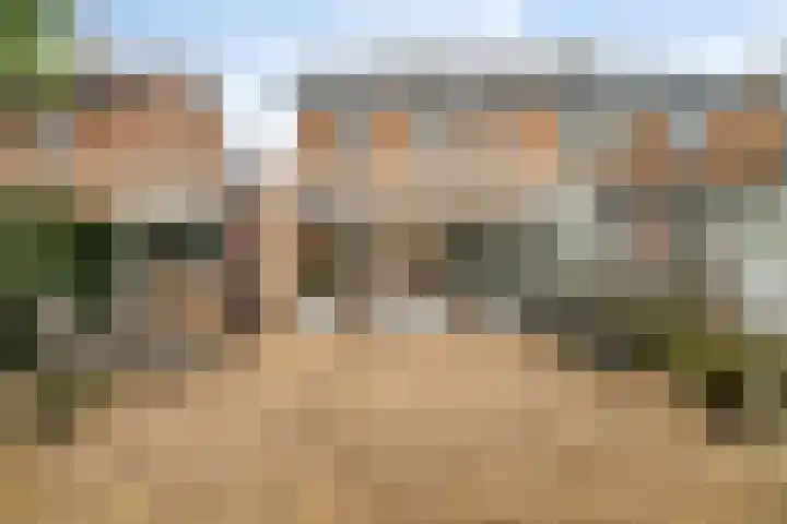 Wold 20 20 72 Lelystad thumbnail 31