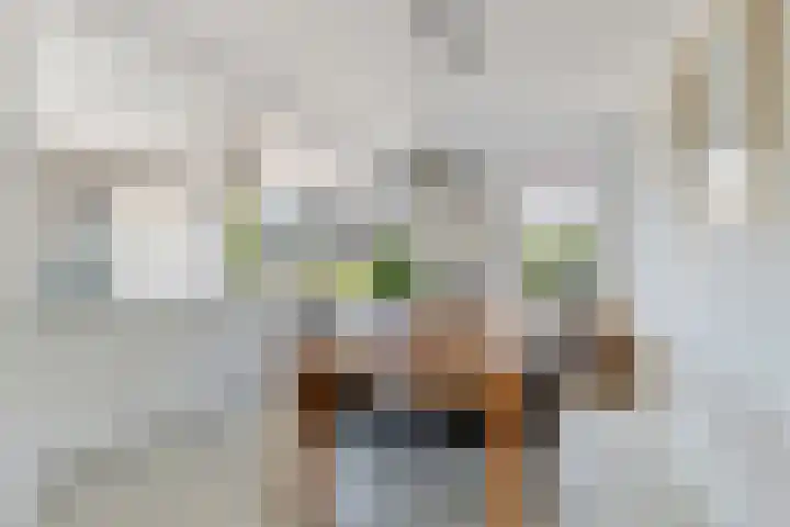 Wold 20 27 Lelystad thumbnail 12