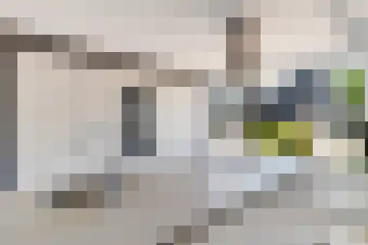 Wold 20 27 Lelystad thumbnail 13