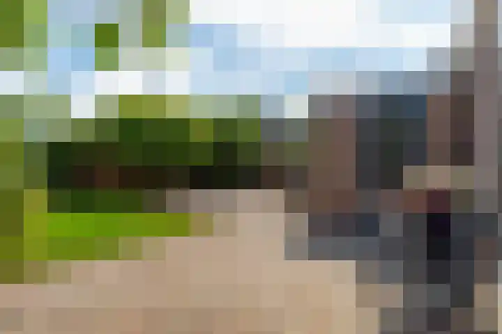 Wold 20 27 Lelystad thumbnail 30