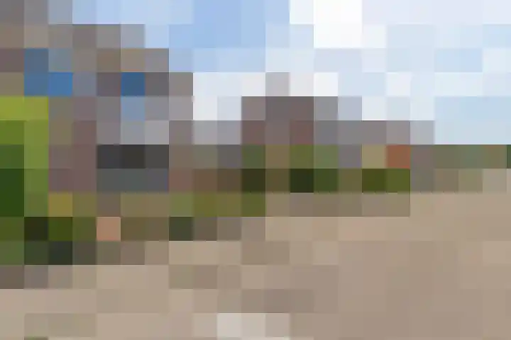 Wold 20 27 Lelystad thumbnail 34