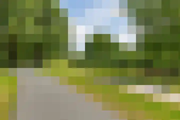 Wold 20 27 Lelystad thumbnail 35