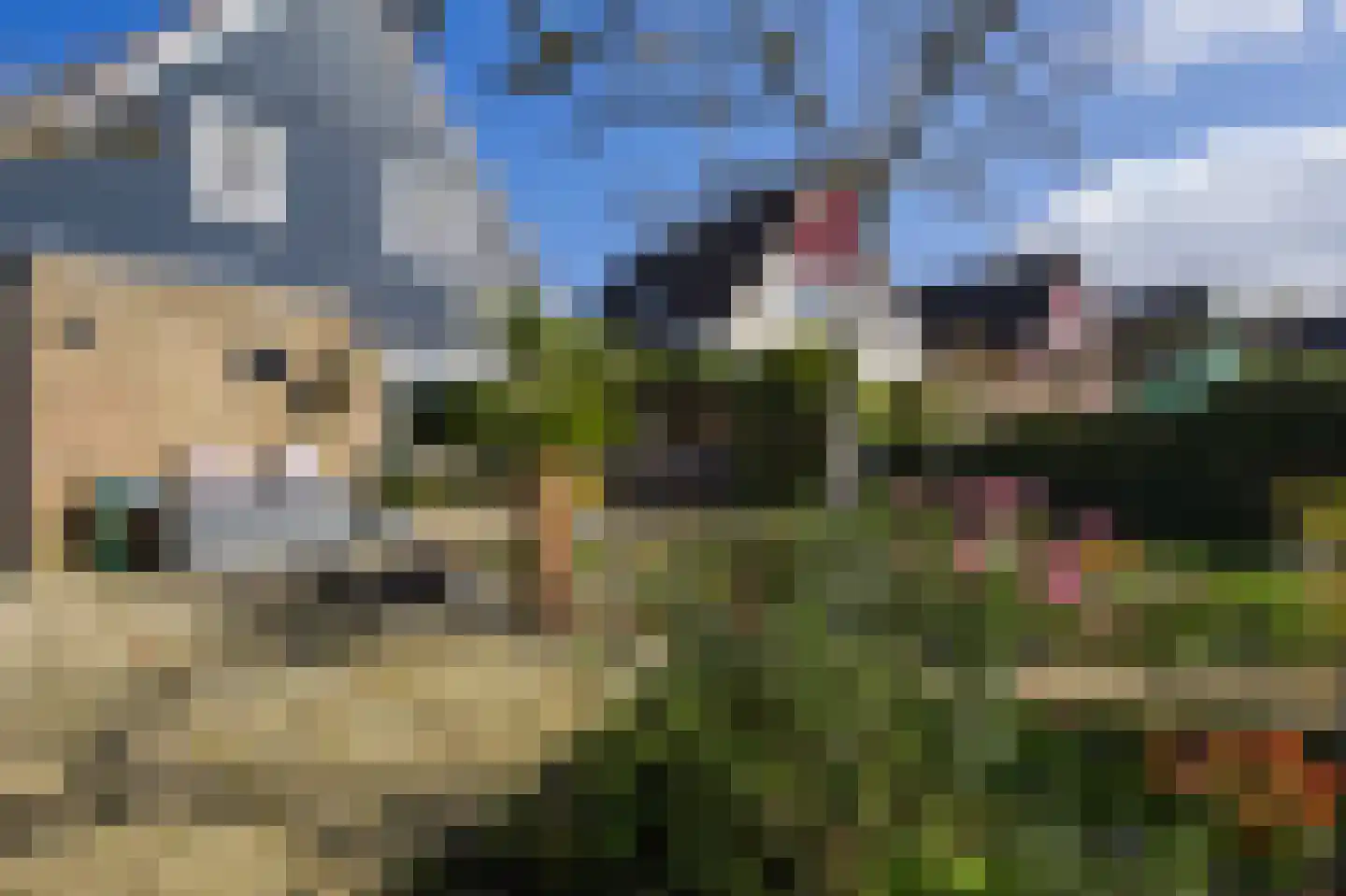 Wold 20 30 Lelystad thumbnail 25