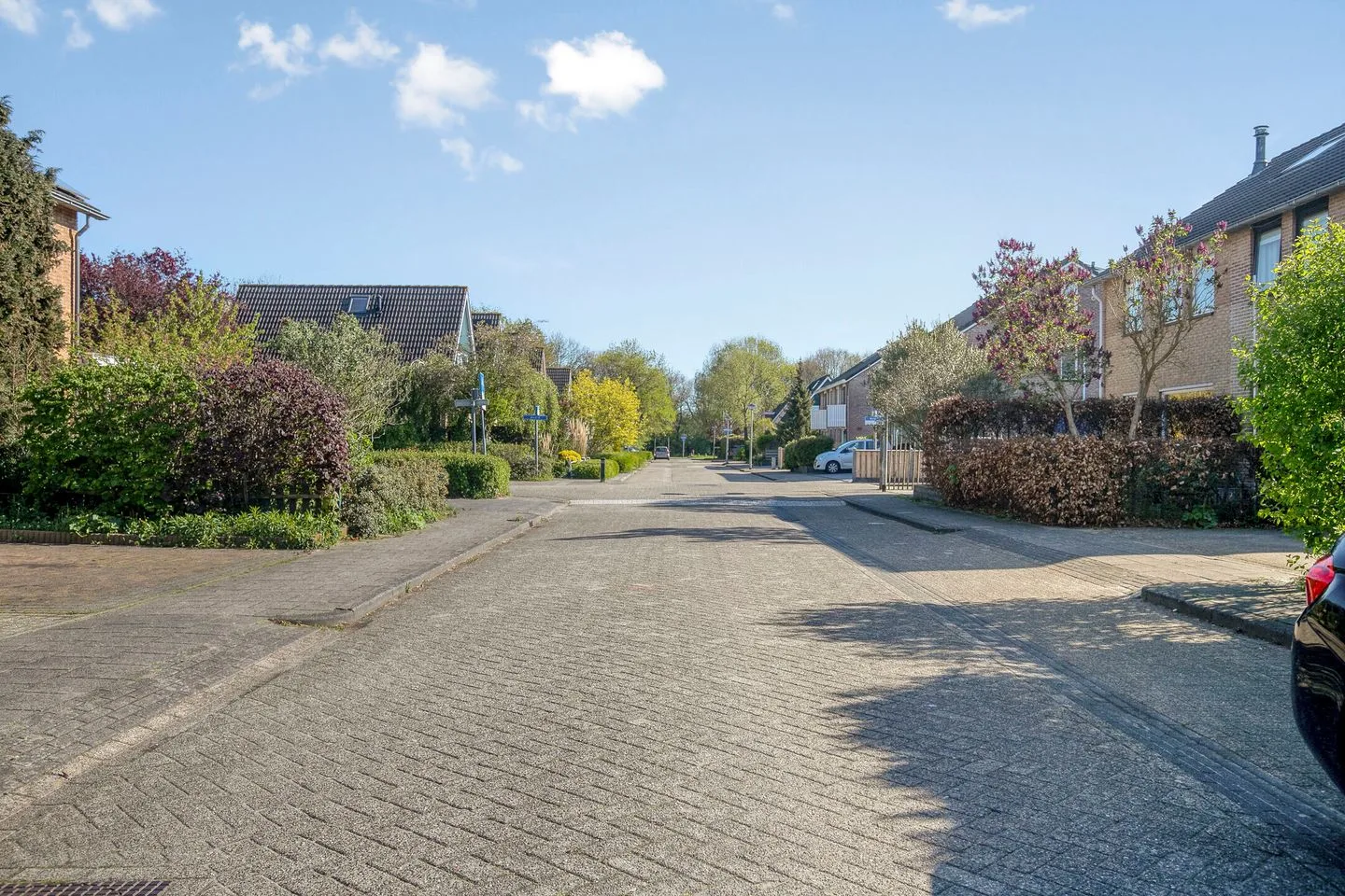 Wold 20 5 Lelystad thumbnail 37
