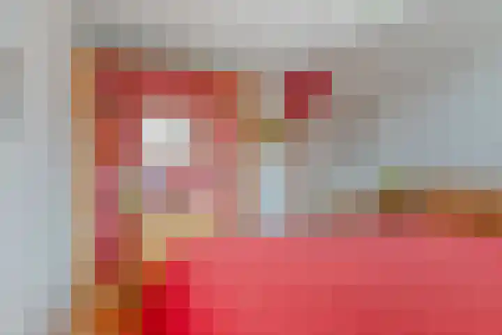 Wold 20 65 Lelystad thumbnail 19