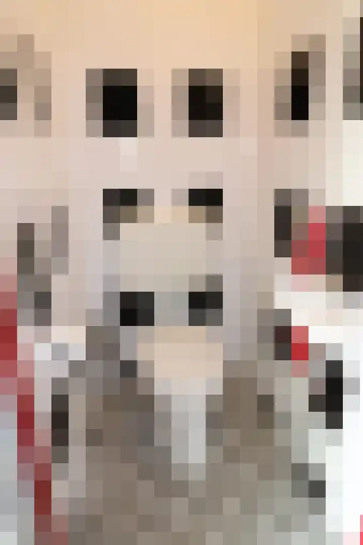 Wold 20 65 Lelystad thumbnail 8
