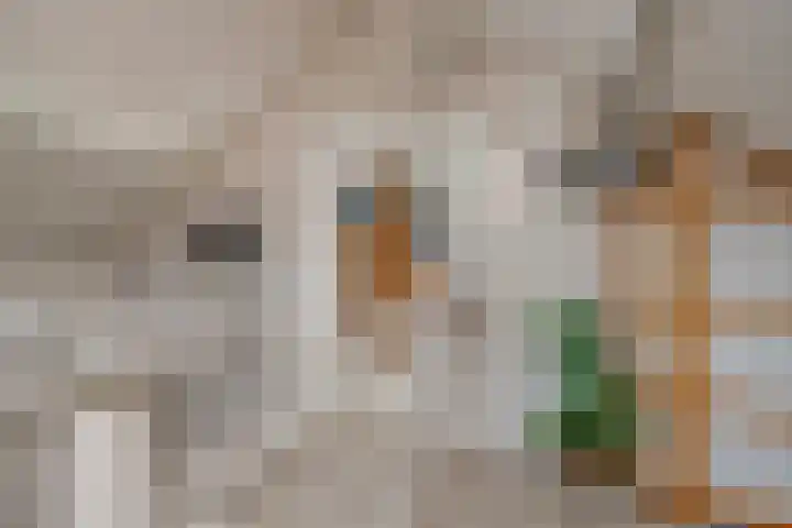 Wold 20 72 Lelystad thumbnail 22