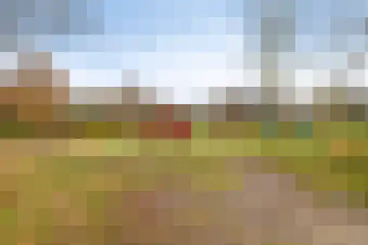 Wold 20 72 Lelystad thumbnail 37