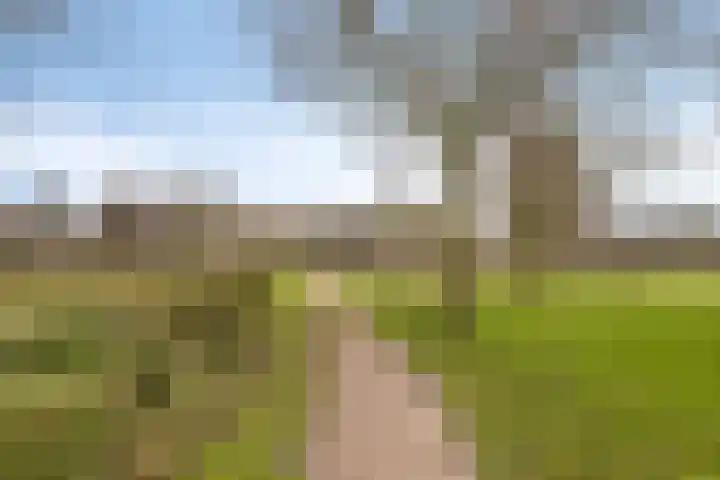Wold 20 72 Lelystad thumbnail 38