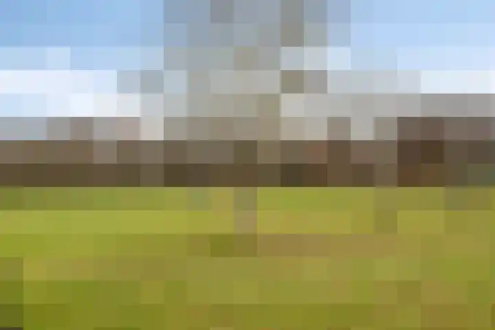 Wold 20 72 Lelystad thumbnail 39