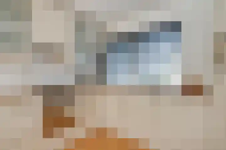 Wold 21 21 36 Lelystad thumbnail 18