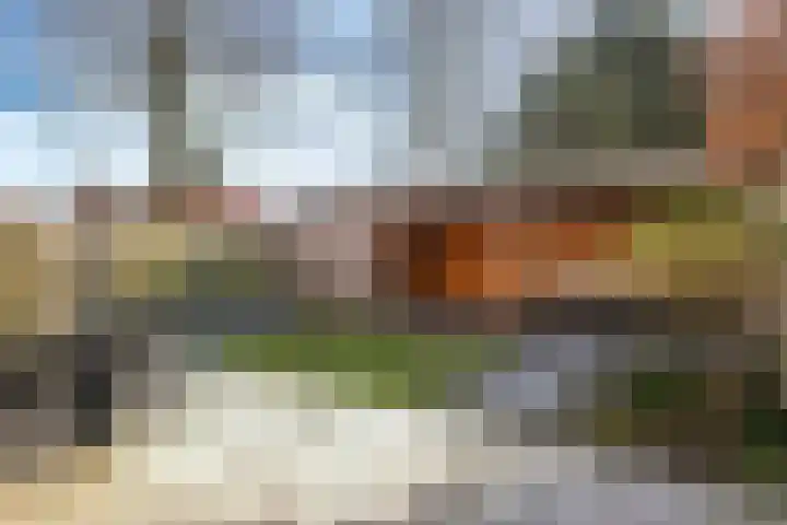 Wold 21 21 36 Lelystad thumbnail 34