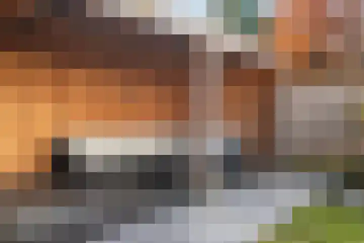 Wold 21 21 36 Lelystad thumbnail 36