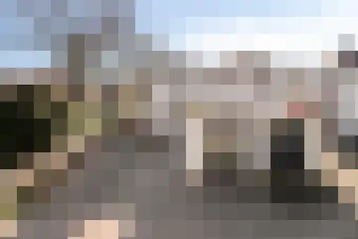 Wold 21 21 36 Lelystad thumbnail 5