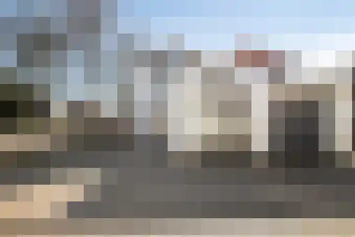 Wold 21 21 36 Lelystad thumbnail 6