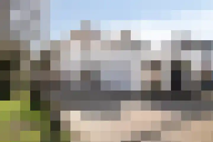 Wold 21 21 36 Lelystad thumbnail 7
