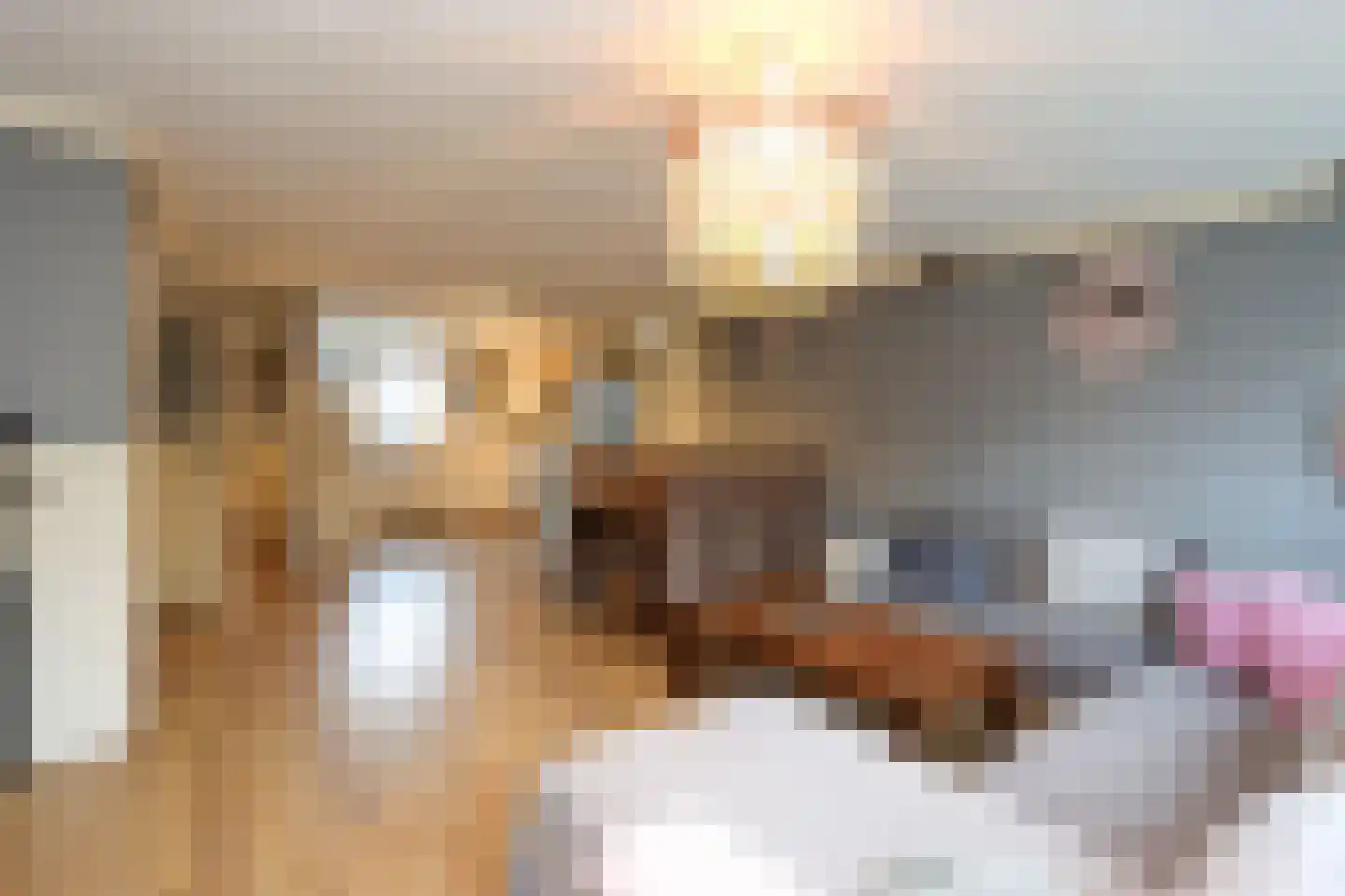 Wold 23 23 95 Lelystad thumbnail 7