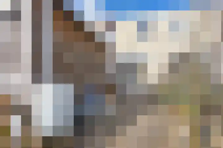 Wold 24 24 33 Lelystad thumbnail 22