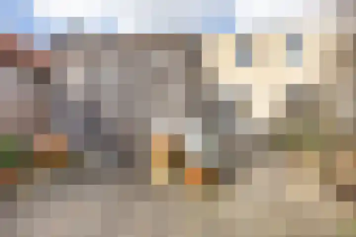Wold 24 24 33 Lelystad thumbnail 27