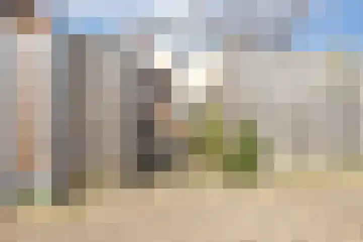 Wold 24 24 33 Lelystad thumbnail 28