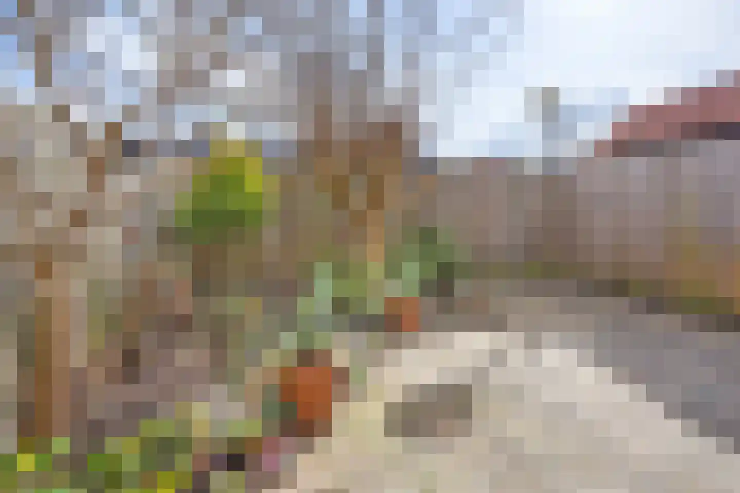 Wold 24 33 Lelystad thumbnail 26