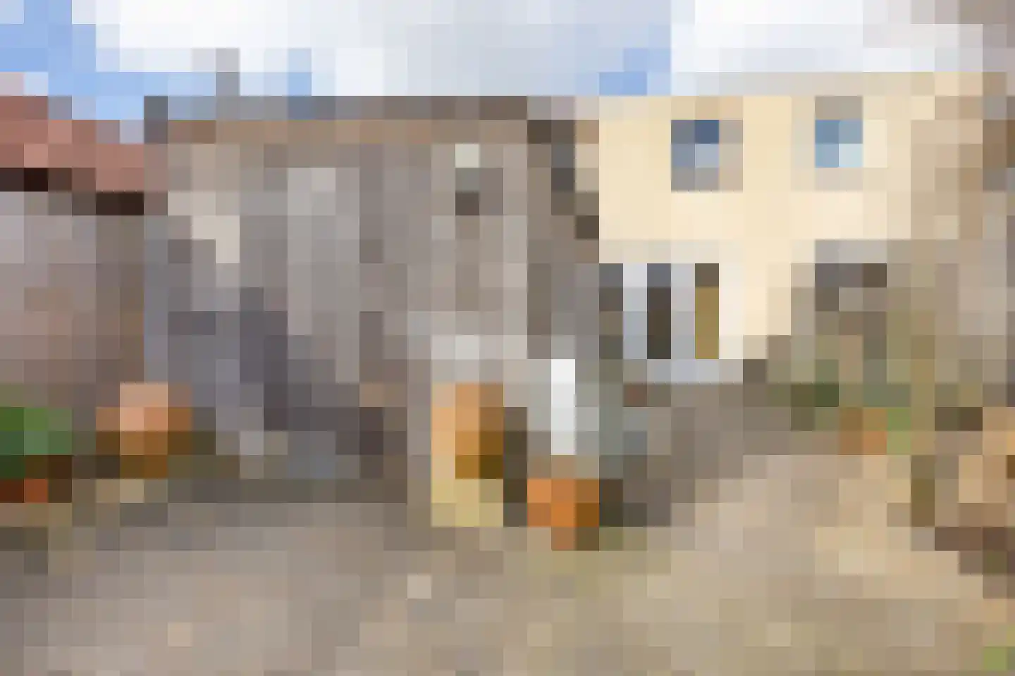 Wold 24 33 Lelystad thumbnail 27