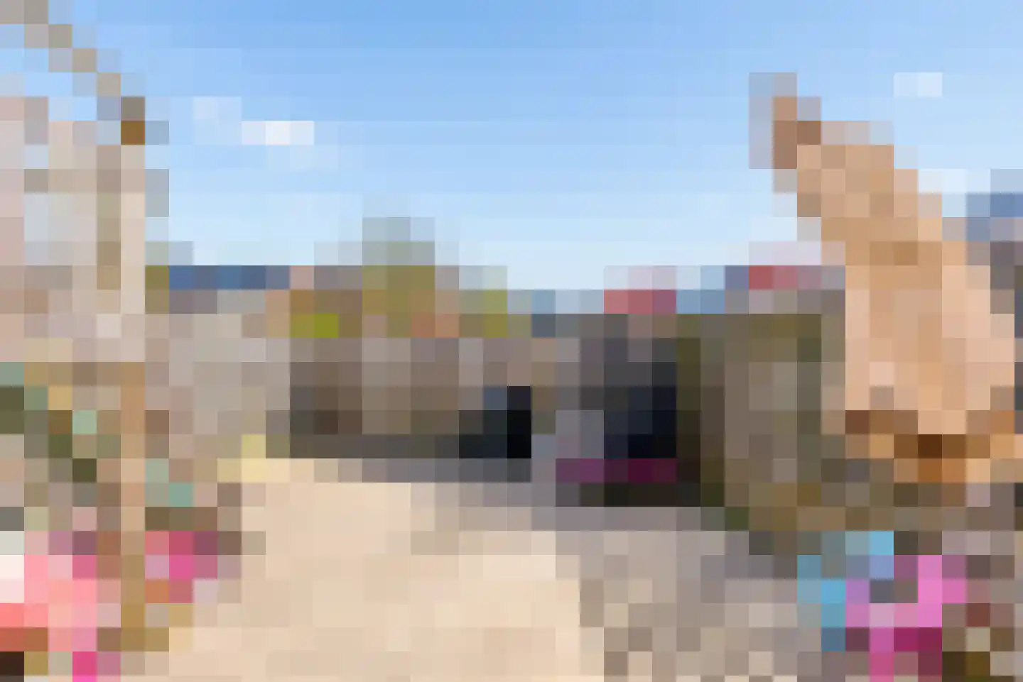 Wold 24 39 Lelystad thumbnail 17