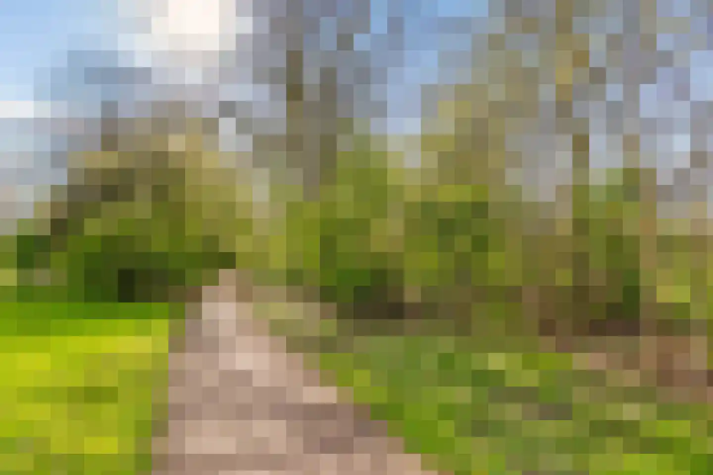 Wold 24 39 Lelystad thumbnail 22