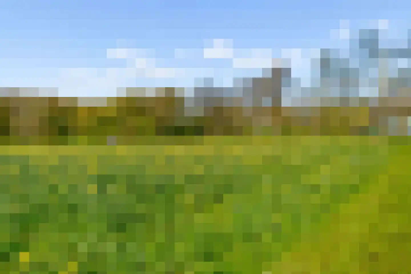 Wold 24 39 Lelystad thumbnail 23