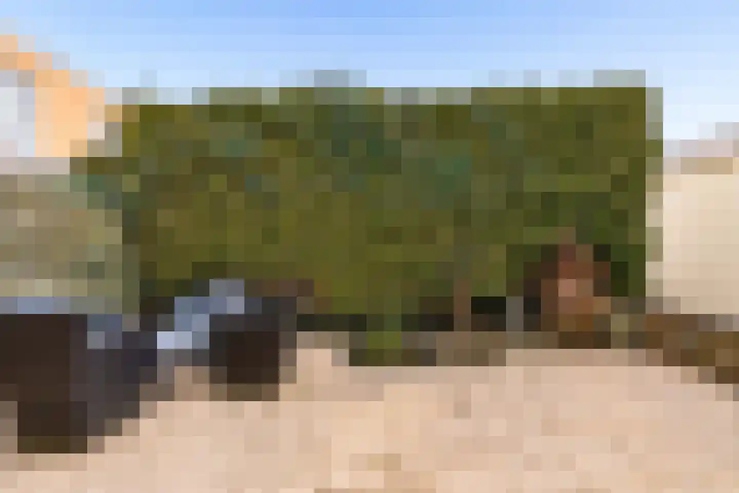 Wold 25 25 27 Lelystad thumbnail 34