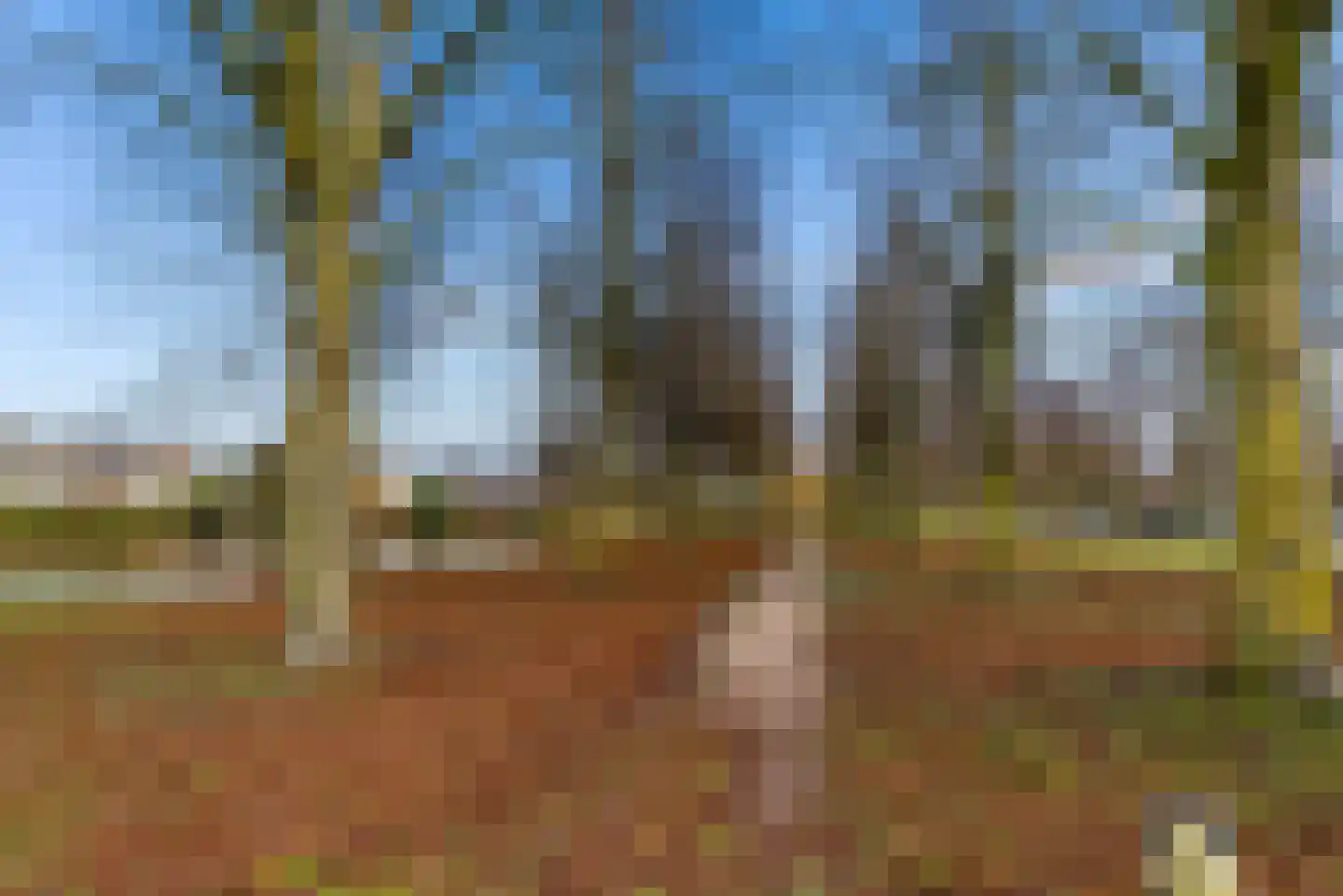 Wold 25 25 27 Lelystad thumbnail 42