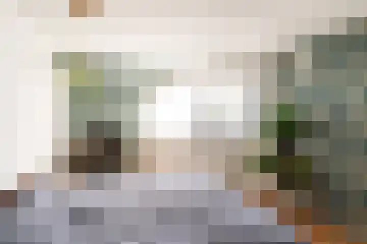 Wold 25 25 42 Lelystad thumbnail 39