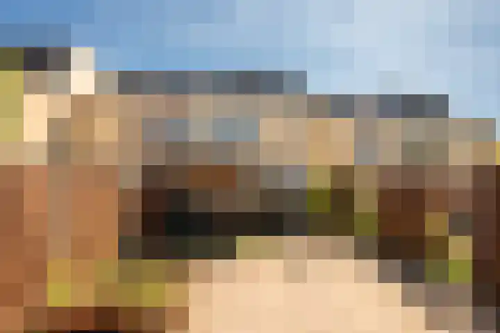 Wold 25 25 42 Lelystad thumbnail 43