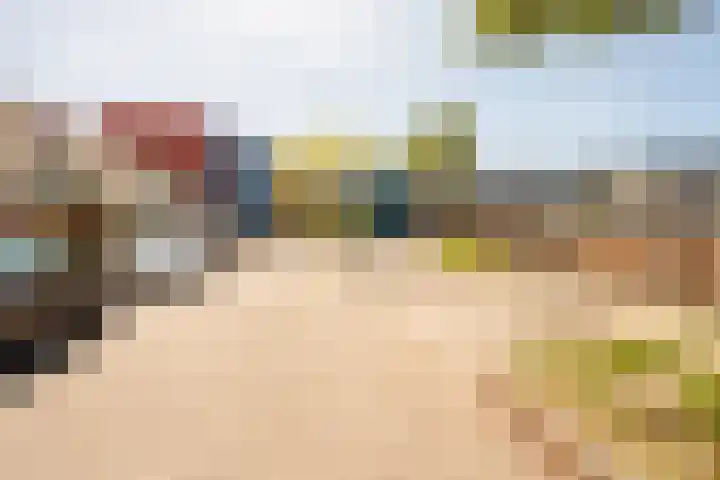 Wold 25 25 42 Lelystad thumbnail 50