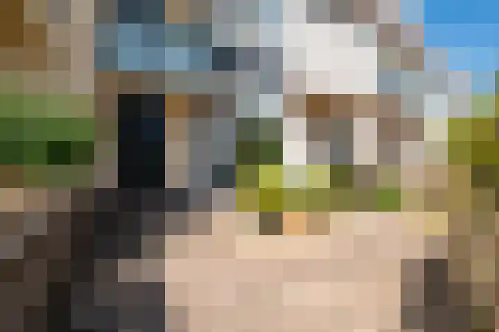 Wold 25 25 42 Lelystad thumbnail 8