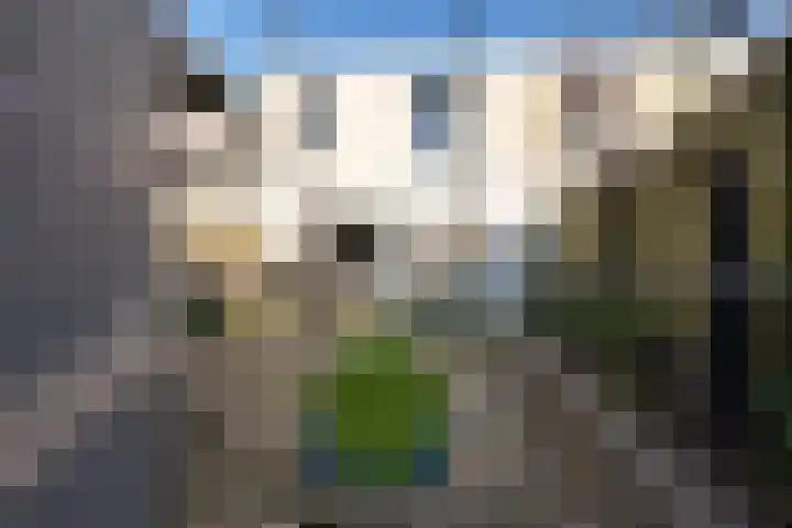Wold 25 25 43 Lelystad thumbnail 34