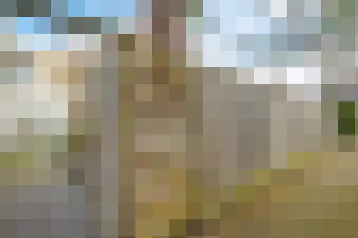 Wold 25 25 43 Lelystad thumbnail 35
