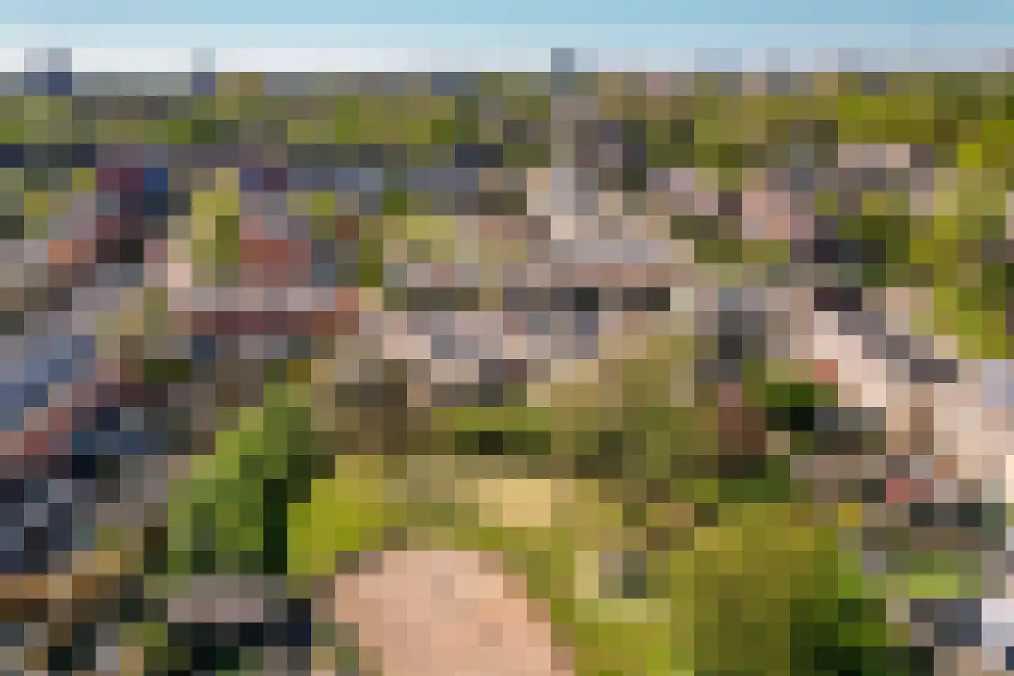 Wold 25 3 Lelystad thumbnail 30