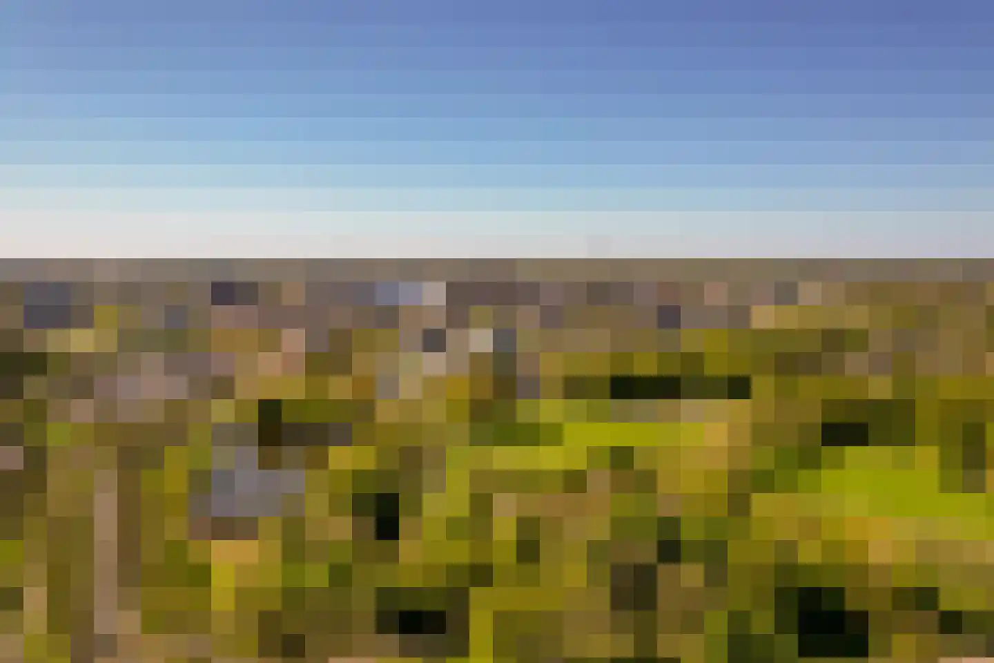 Wold 25 3 Lelystad thumbnail 32