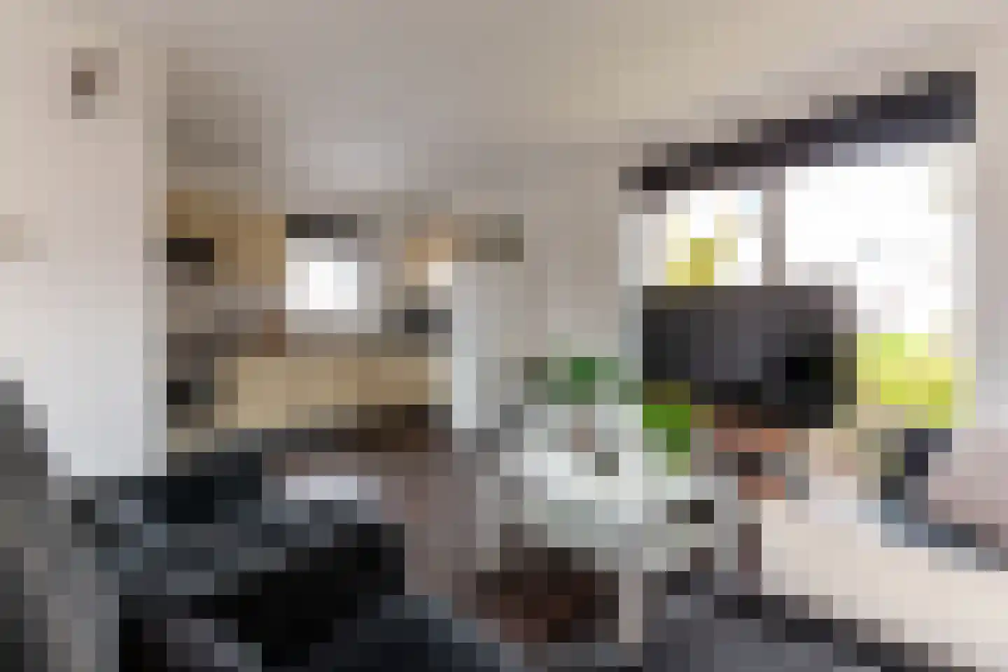 Wold 25 3 Lelystad thumbnail 8