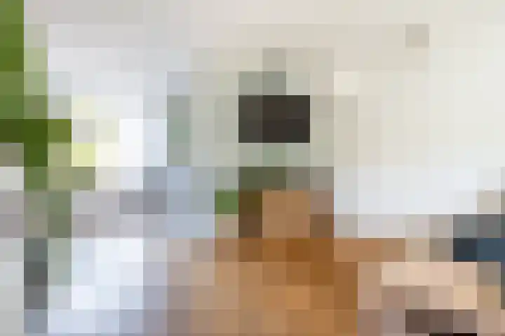 Wold 25 42 Lelystad thumbnail 15