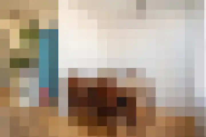 Wold 25 42 Lelystad thumbnail 18