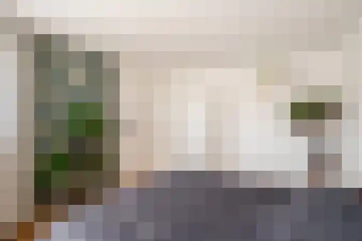 Wold 25 42 Lelystad thumbnail 41
