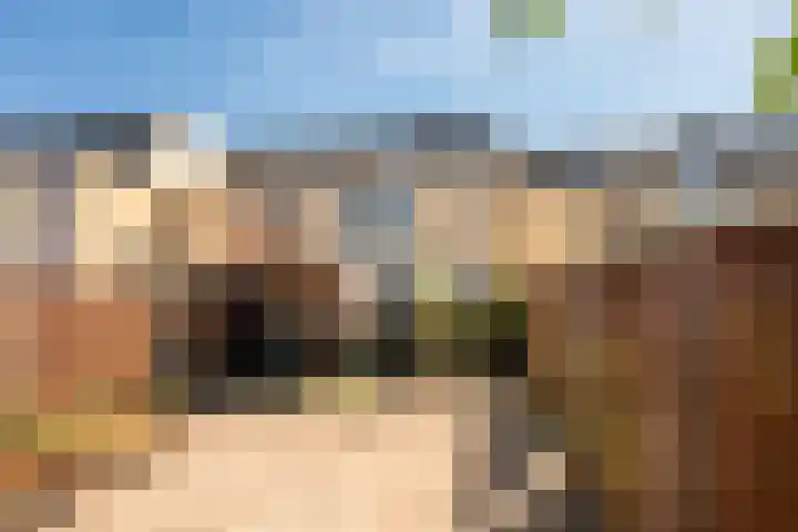 Wold 25 42 Lelystad thumbnail 42