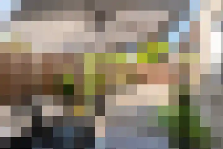 Wold 25 42 Lelystad thumbnail 45