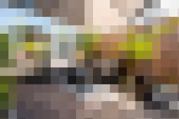 Wold 25 42 Lelystad thumbnail 46