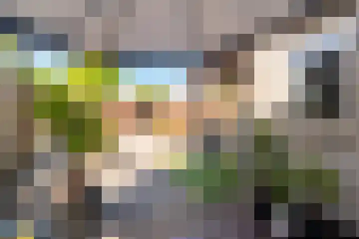 Wold 25 42 Lelystad thumbnail 47