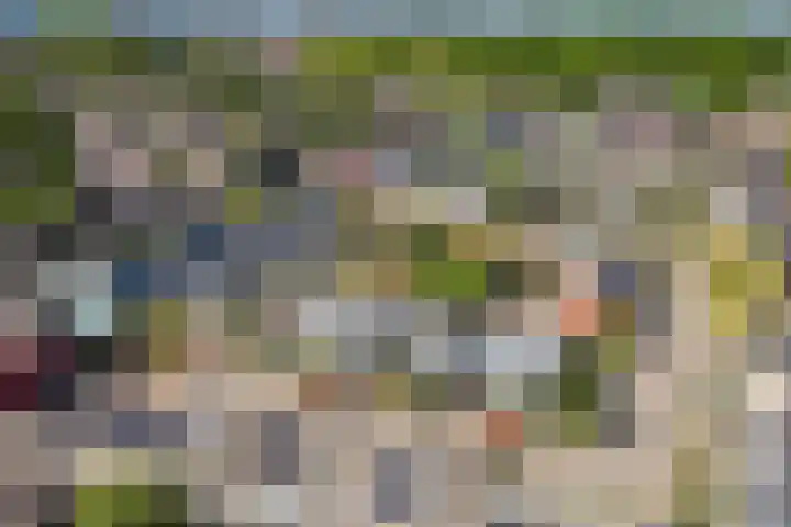 Wold 25 42 Lelystad thumbnail 5
