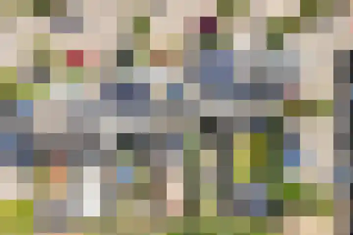 Wold 25 42 Lelystad thumbnail 51
